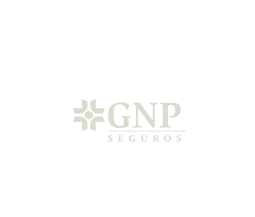 GNP